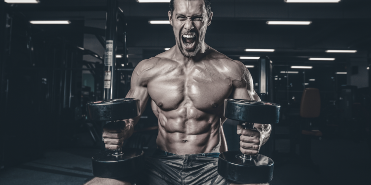 Desarrollo muscular
