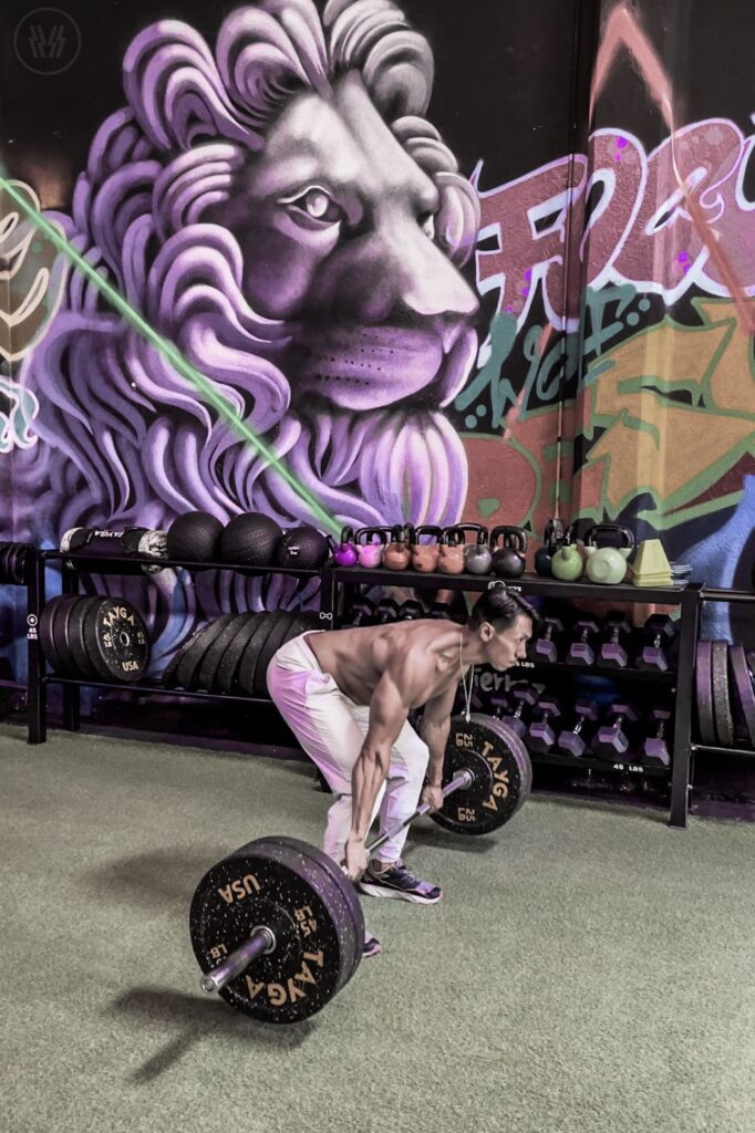 Full body Workout para todos los niveles.